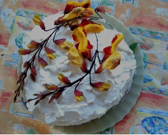 旅馆 Ecopousada João Y Maria