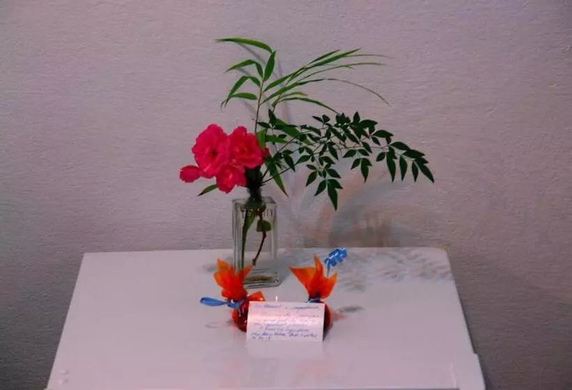 ユースホステル Ecopousada João Y Maria