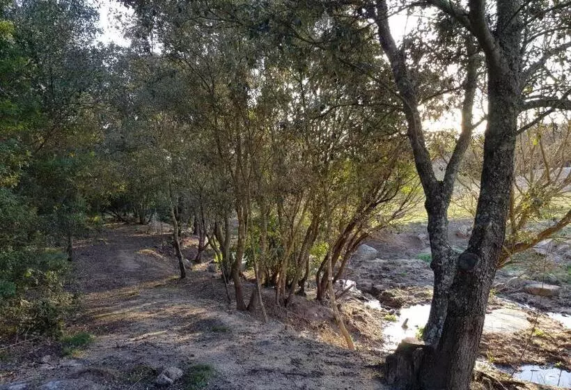 تختخواب و صبحانه Aldo Countryside