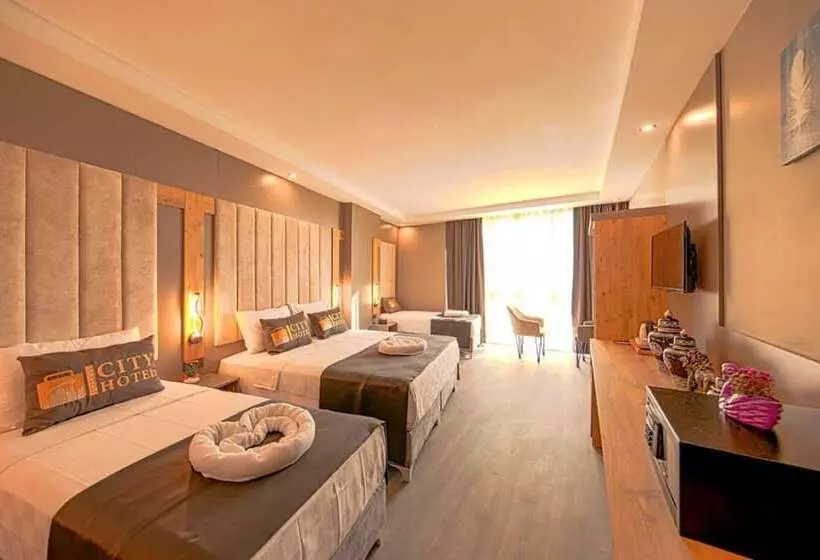 Aamiaismajoitus (B&B) Istanbul City Airport