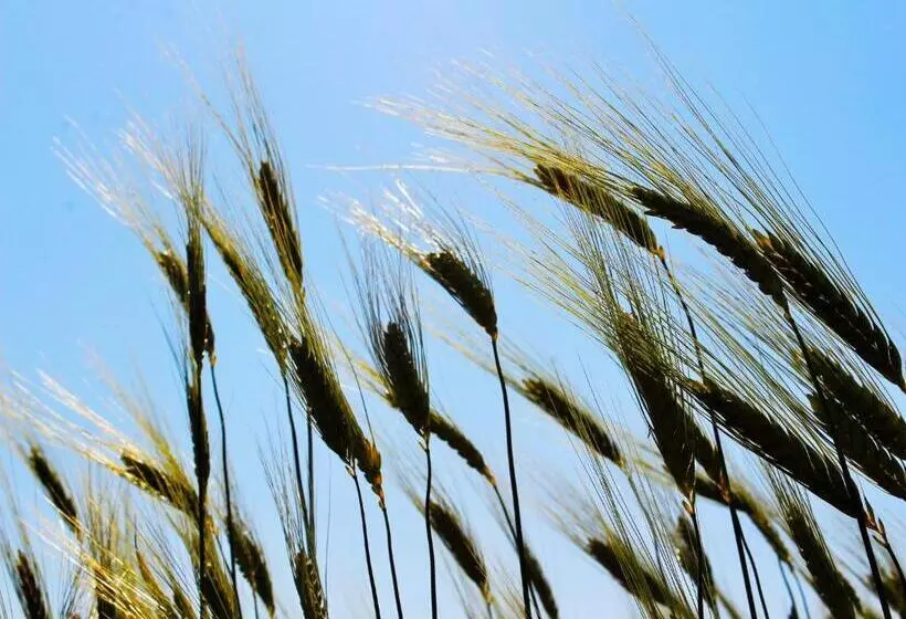ホテル Agri Rio