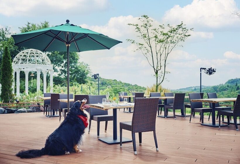 Hotel Auberge Frenchnomori