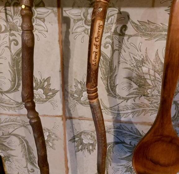 پانسیون A Little Bit Of Magic Witchcraft