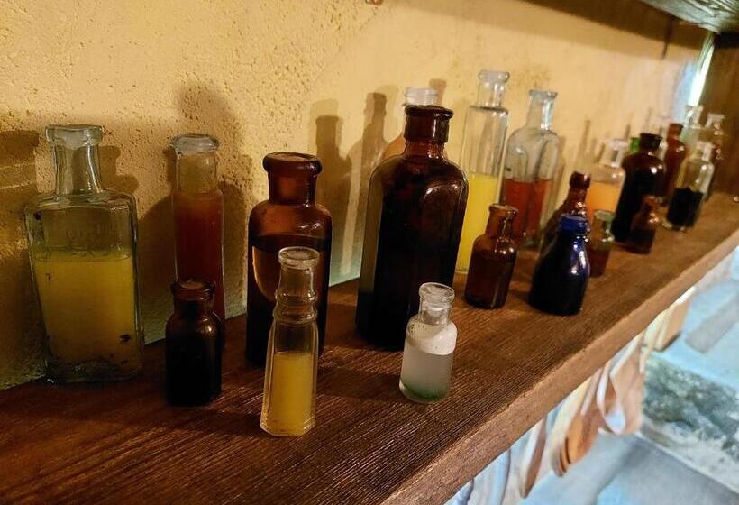 پانسیون A Little Bit Of Magic Witchcraft