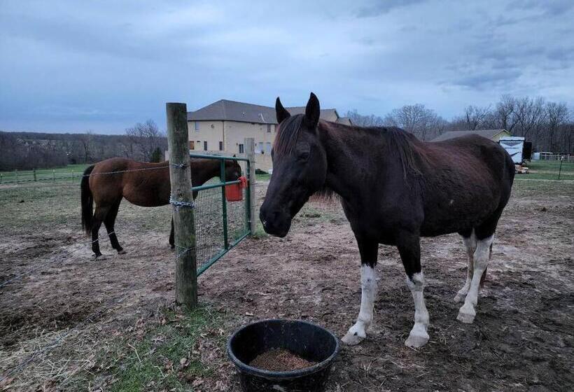 بنسيون Deer Run Estate Llc