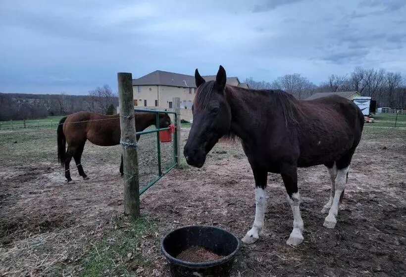 Majatalo Deer Run Estate Llc
