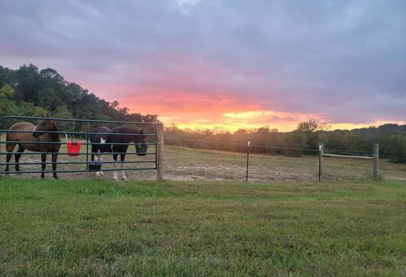 بنسيون Deer Run Estate Llc