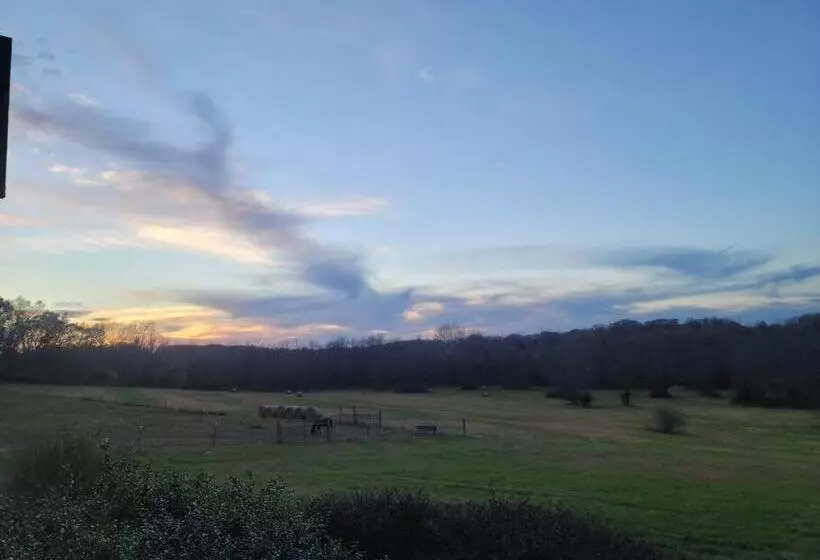 Majatalo Deer Run Estate Llc
