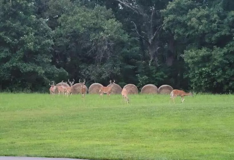 Majatalo Deer Run Estate Llc