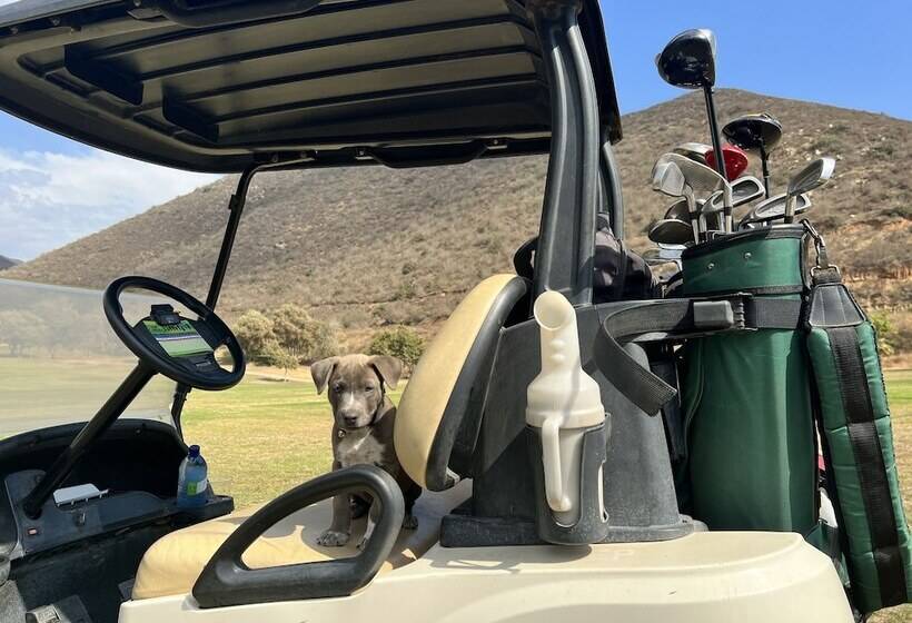 민박 Baja Off The Grid, Luxury Nature Glamping Retreat