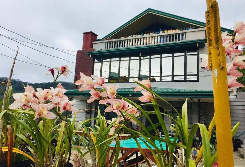 Fogadó Glydee Lodging Home