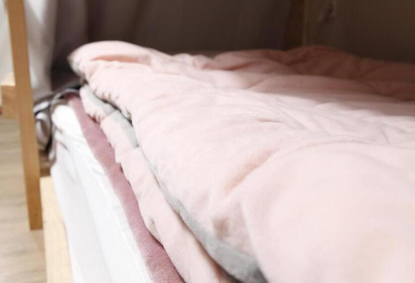 Cămin Baozen Guesthouse