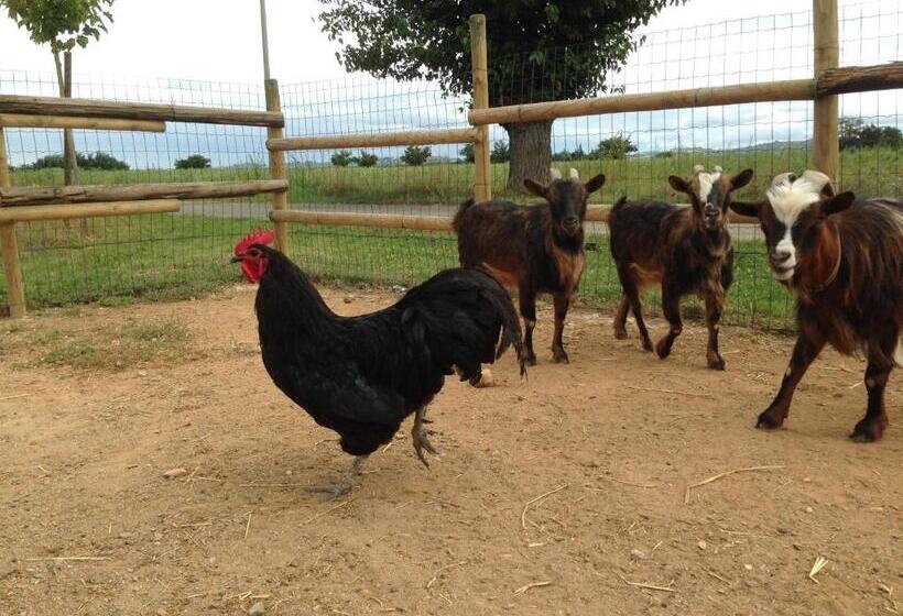 مبيت وإفطار Cascina Folletto