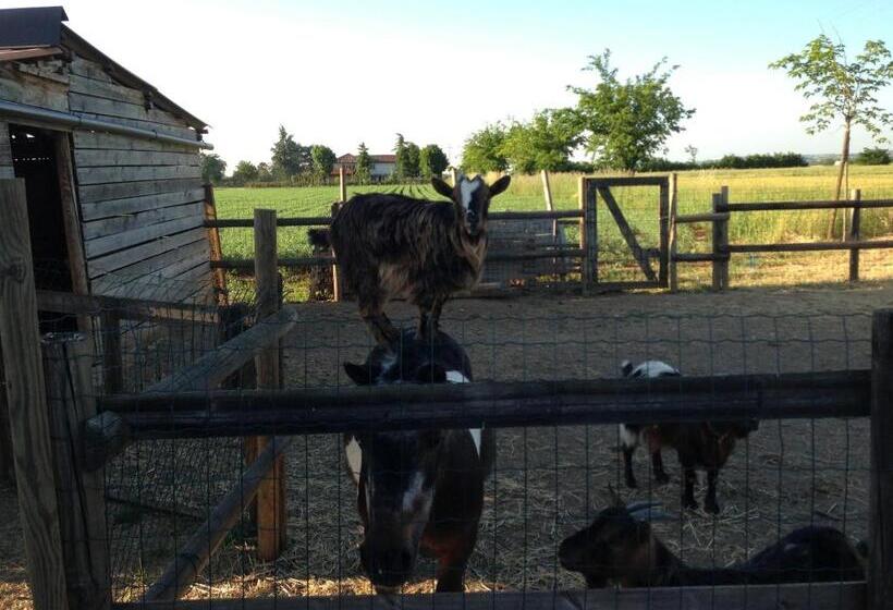 مبيت وإفطار Cascina Folletto