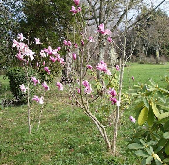 ベッドアンドブレックファースト Domaine De Gaudon