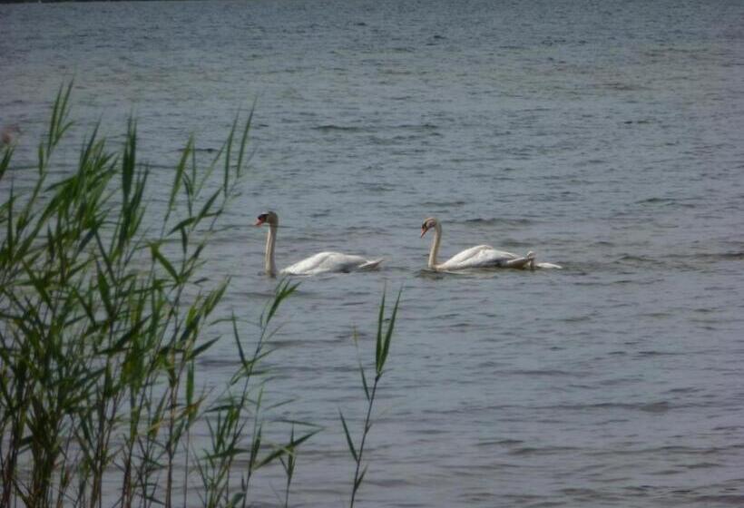 ベッドアンドブレックファースト Les Eaux Qui Rient