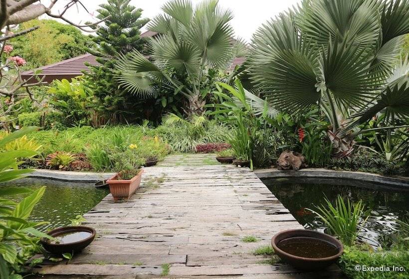 Bravo Resorts  Munting Paraiso