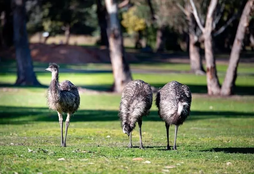 ホテル Breeze Holiday Parks Grampians