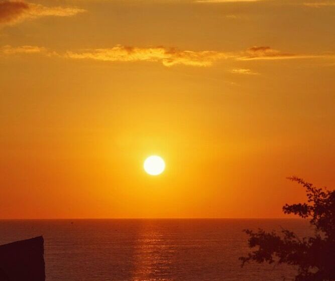 酒店 Nativa Bambu Ecolodge