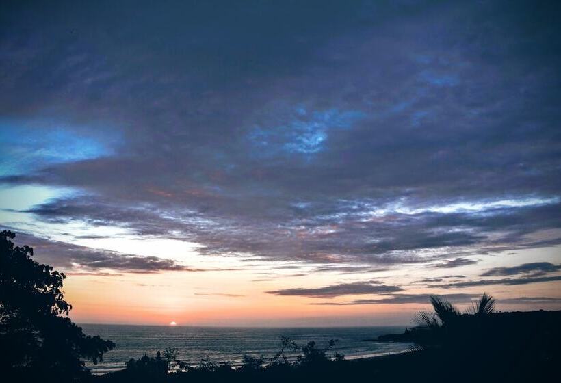 酒店 Nativa Bambu Ecolodge