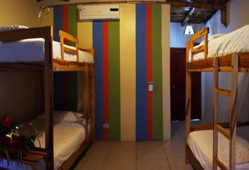 هتل Nativa Bambu Ecolodge