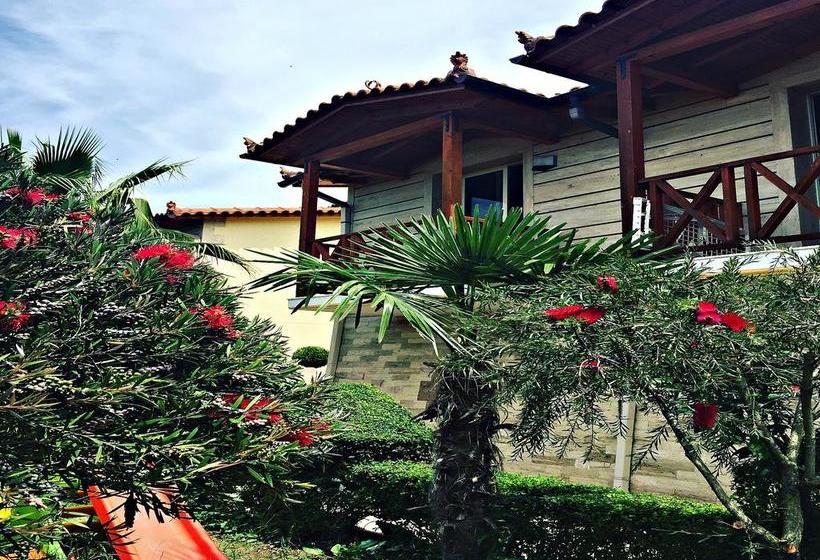 酒店 Olympia Touristic Village