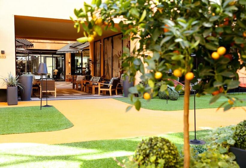 בית מלון כפרי F6