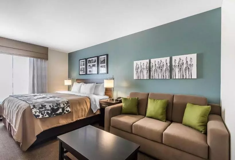 ホテル Sleep Inn & Suites O Fallon Mo Technology Drive