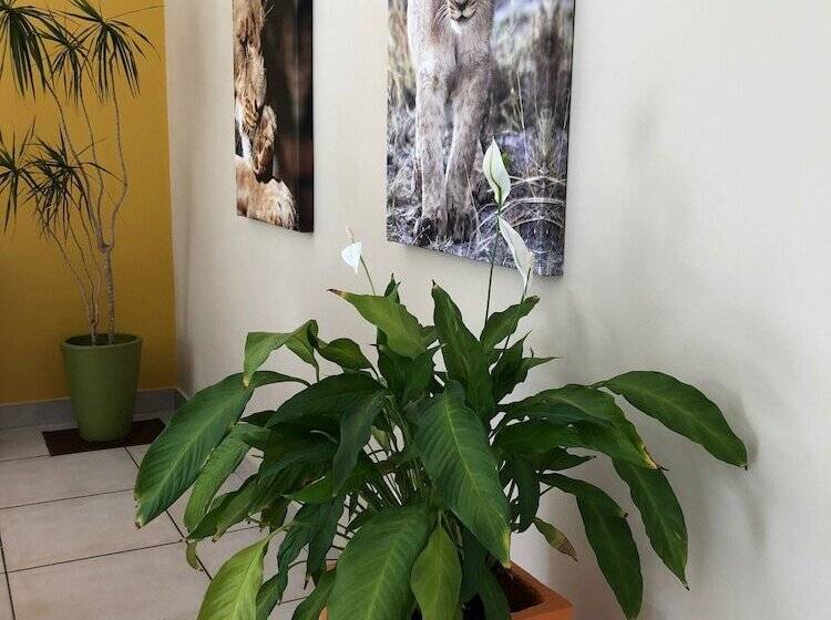 ペンション Atlantic Breeze