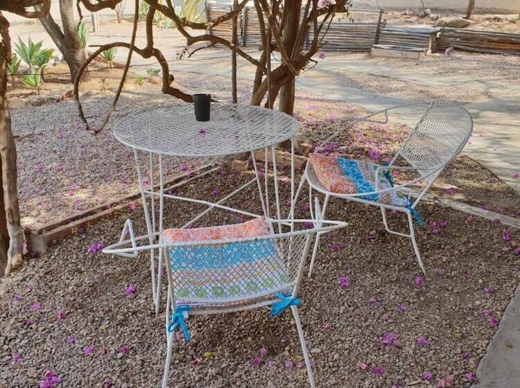 הוסטל Oasis Shanti Backpackers