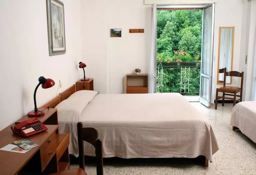 Hotelli Albergo Regina