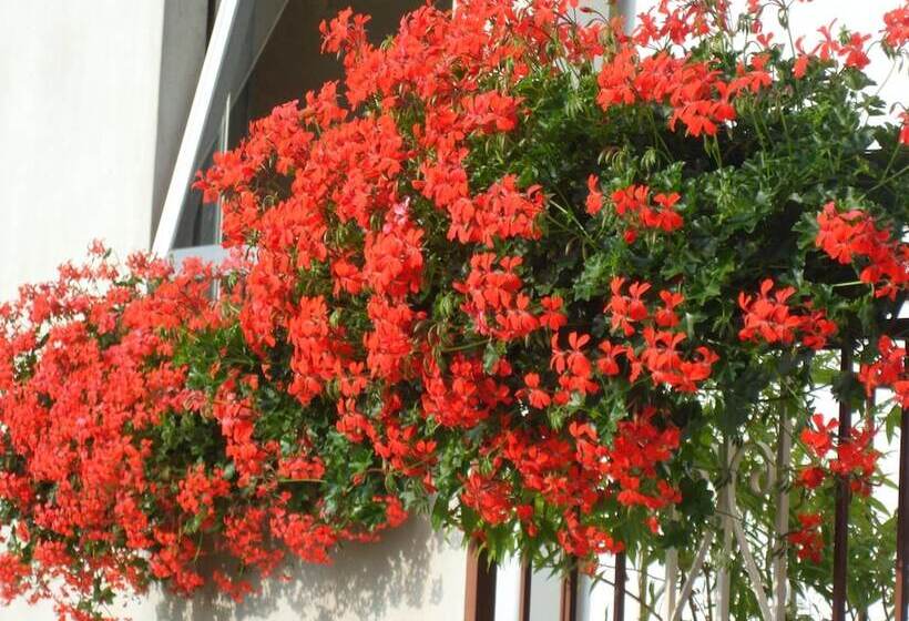 هتل Albergo Regina