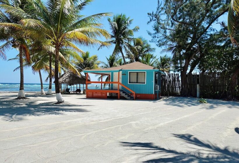 ホテル Blue Marlin Beach Resort