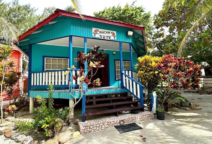 ホテル Blue Marlin Beach Resort