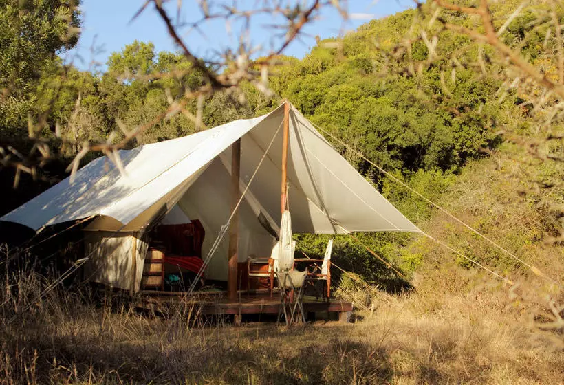 ホテル Quatermain S 1920 S Safari Camp   Amakhala Game Reserve