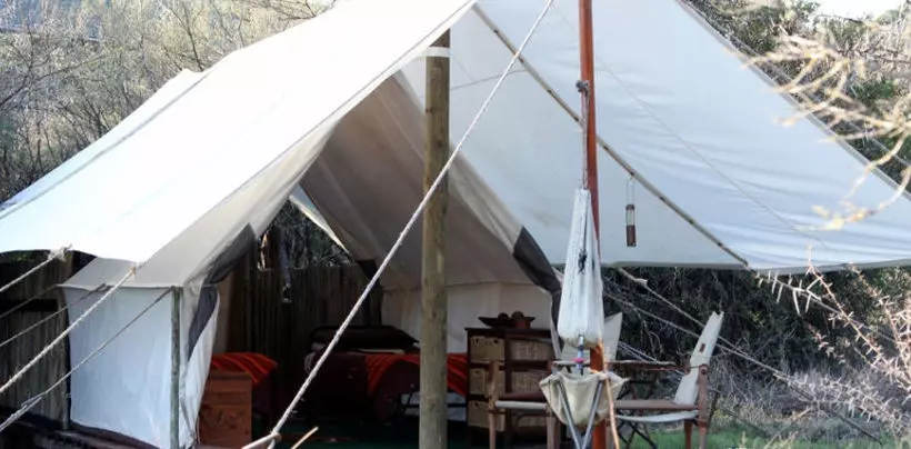 ホテル Quatermain S 1920 S Safari Camp   Amakhala Game Reserve