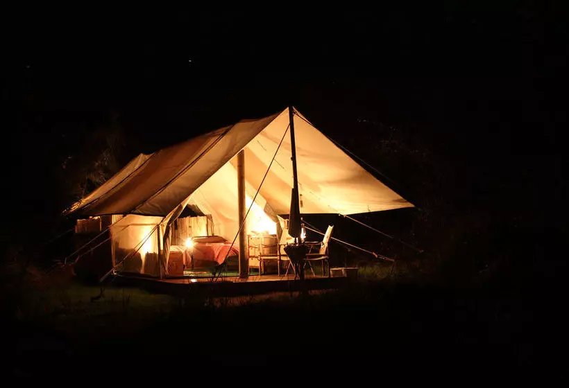 ホテル Quatermain S 1920 S Safari Camp   Amakhala Game Reserve
