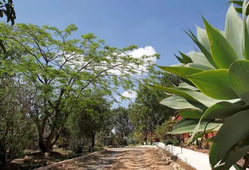 هتل Relais Du Rova