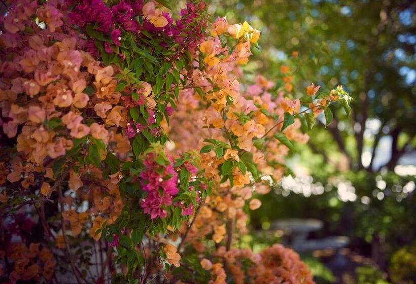 פנסיון Corner House Residence