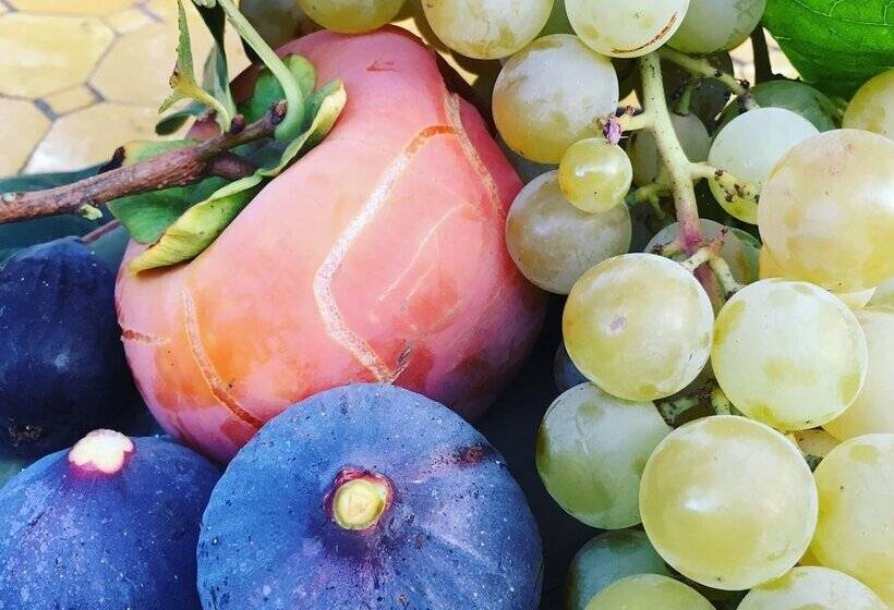 צימר Bastide Sainte Trinide