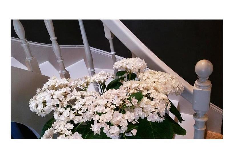 La Sauternaise, Luxury Boutique B&b