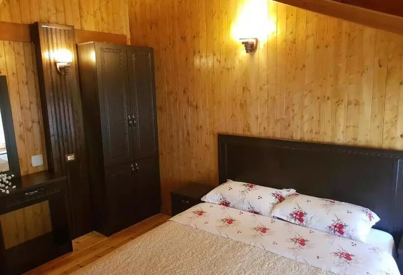 Hotel Vataksi