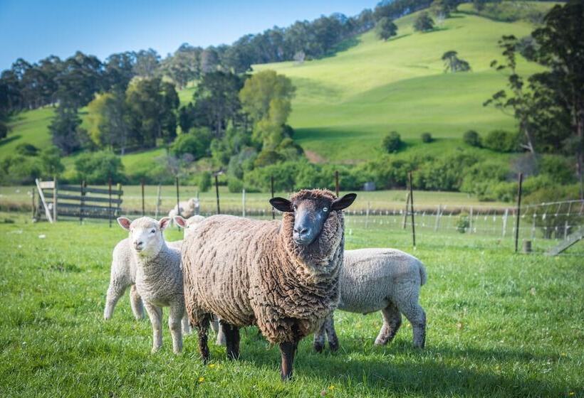 Bed and Breakfast Ashdowns Of Dover