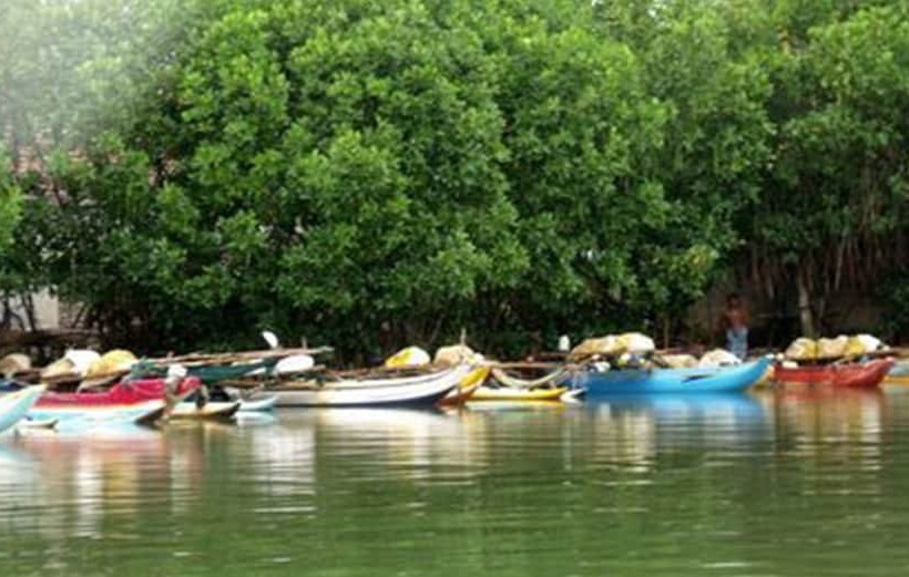 בית מלון כפרי House Of Seya