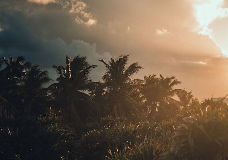 O  Tulum Boutique Hotel   Adults Only