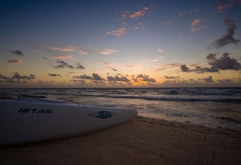 O  Tulum Boutique Hotel   Adults Only