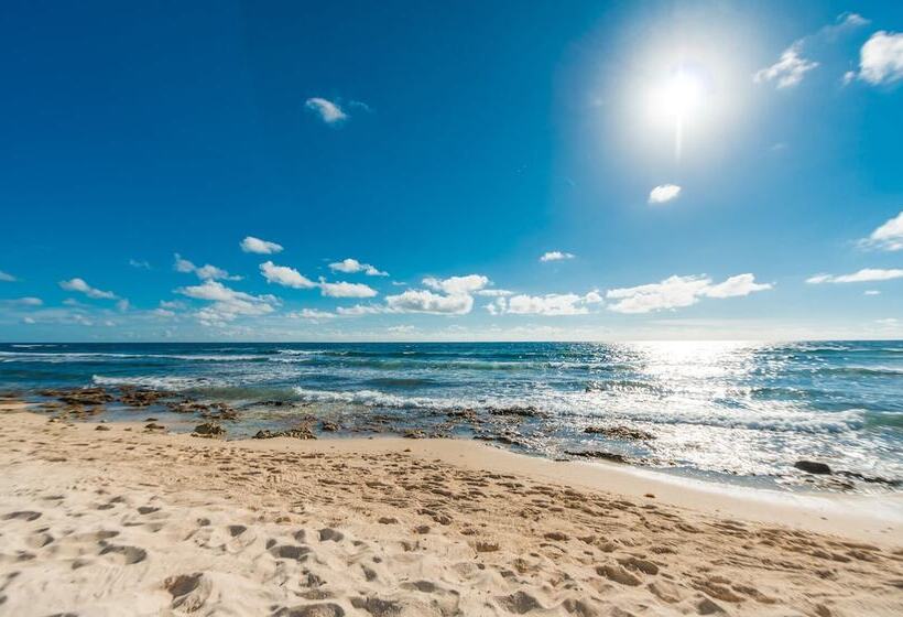 O  Tulum Boutique Hotel   Adults Only