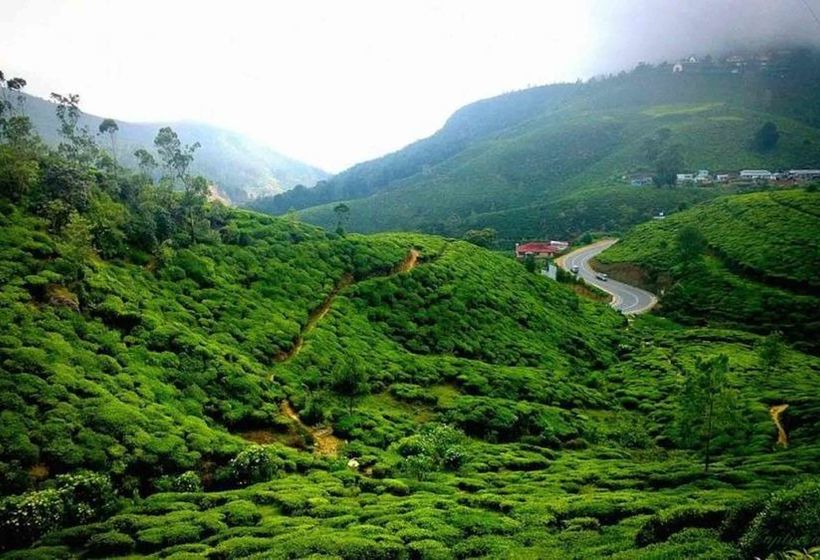 Fotos del hotel Roshan Guest House:  8