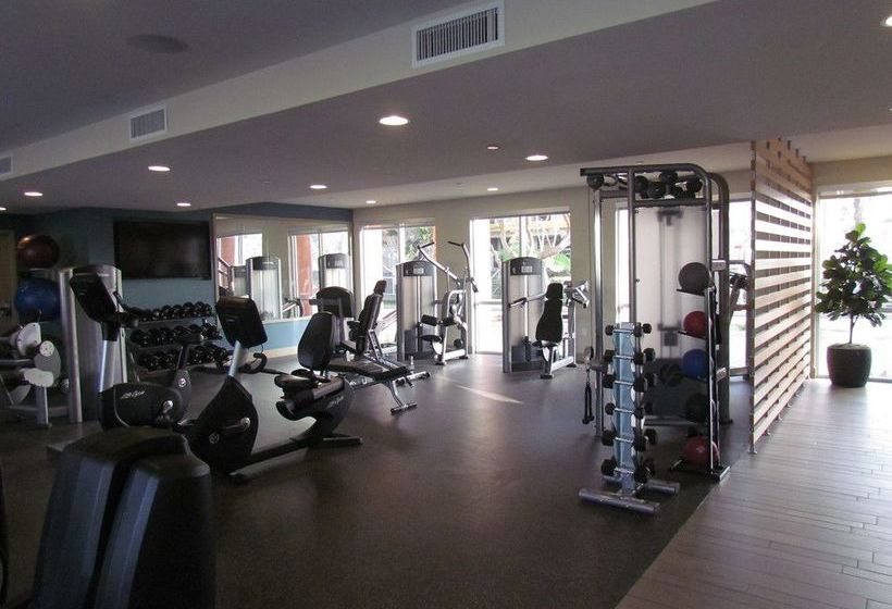 Miracle Mile Apartments With Full Amenities