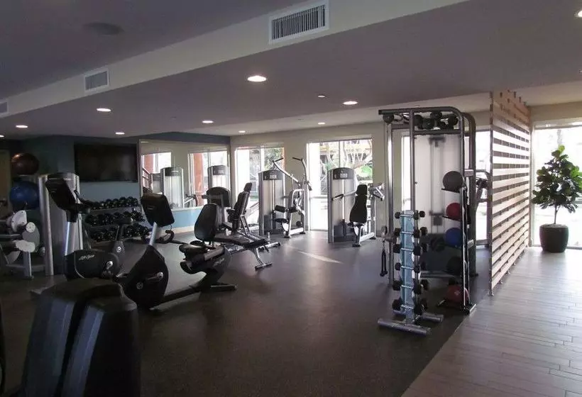 Miracle Mile Apartments With Full Amenities